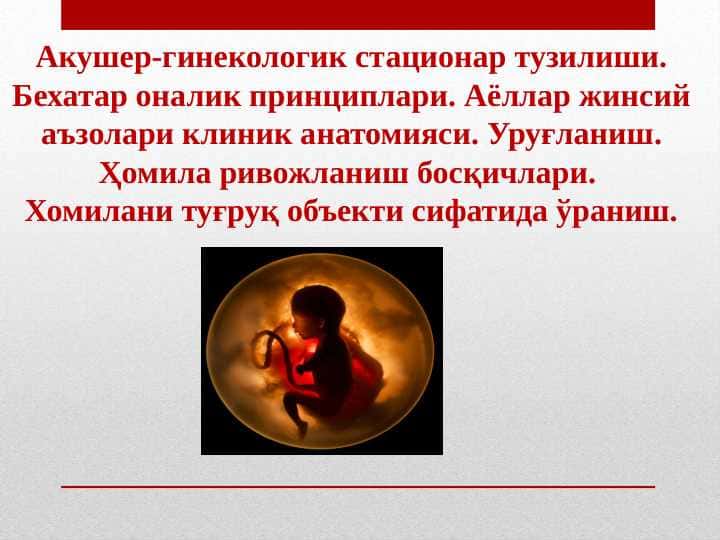 Акушер-гинекологик стационар тузилиши. Бехатар оналик принциплари. Аёллар жинсий аъзолари клиник анатомияси. Уруғланиш. Ҳомила ривожланиш босқичлари.  Хомилани туғруқ объекти сифатида ўраниш.