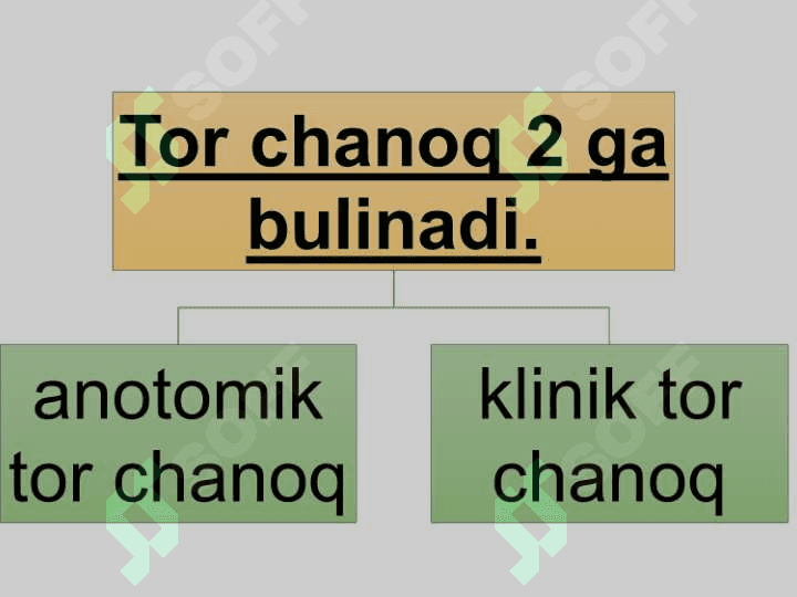 Zamonaviy akusherlikda tor chanoq. 5
