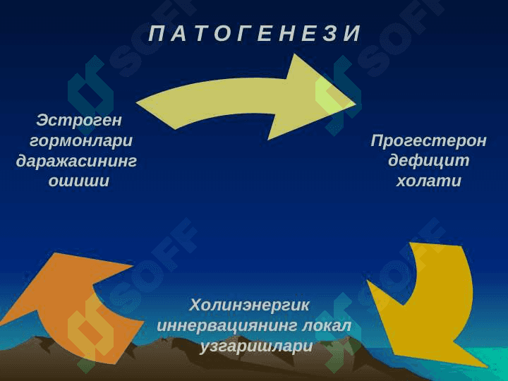 BACHADON MIOMASI 4