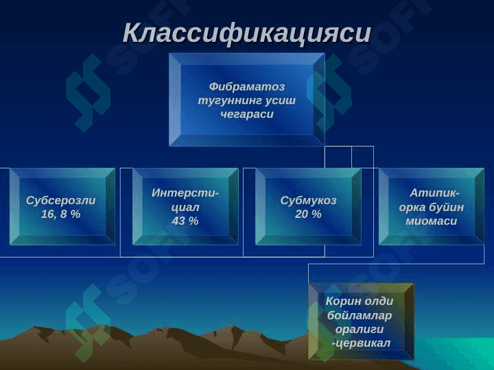 BACHADON MIOMASI 6