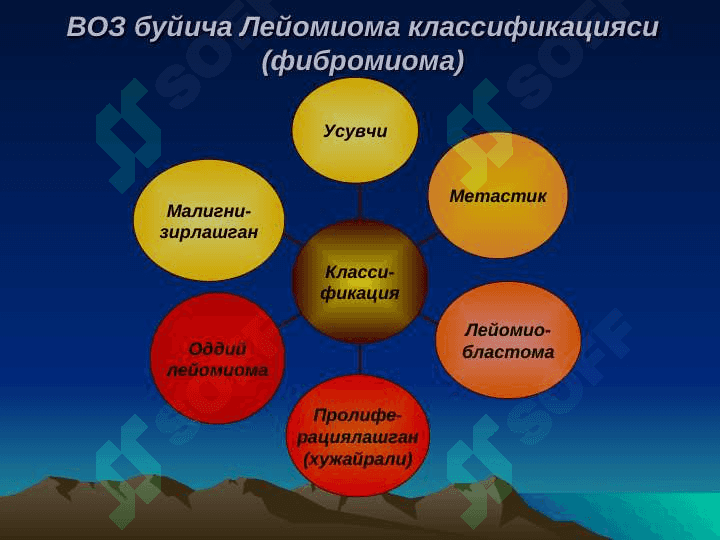 BACHADON MIOMASI 8