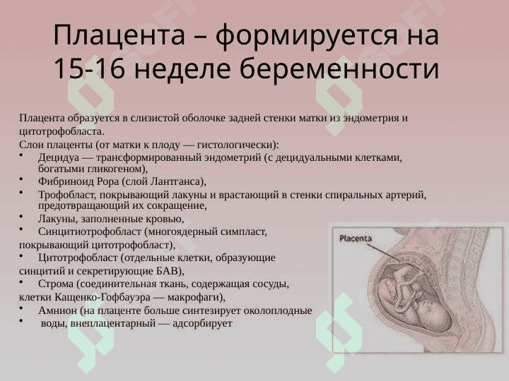 Плацентарные нарушения. Плацентарная недостаточность 2