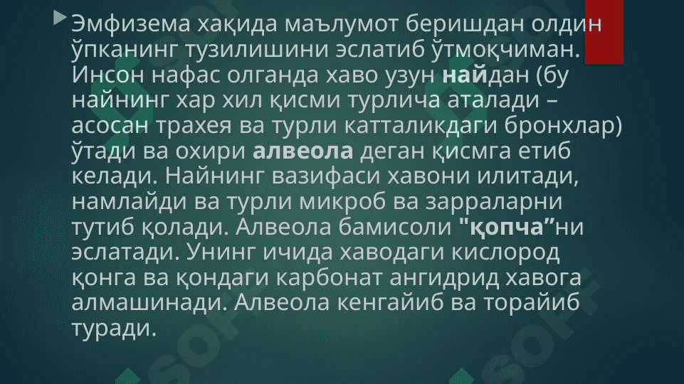Ўпка эмфиземаси 3