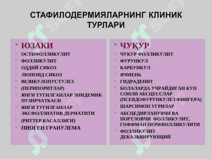 Тренинг юқумли касалликлари. Пиодермиялар, дерматозоонозлар, микозлар. 7