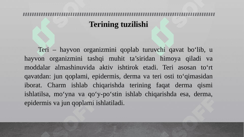 TURLI XIL HAYVON TERISINING ANATOMIK VA TOPOGRAFIK TUZULISHI 2