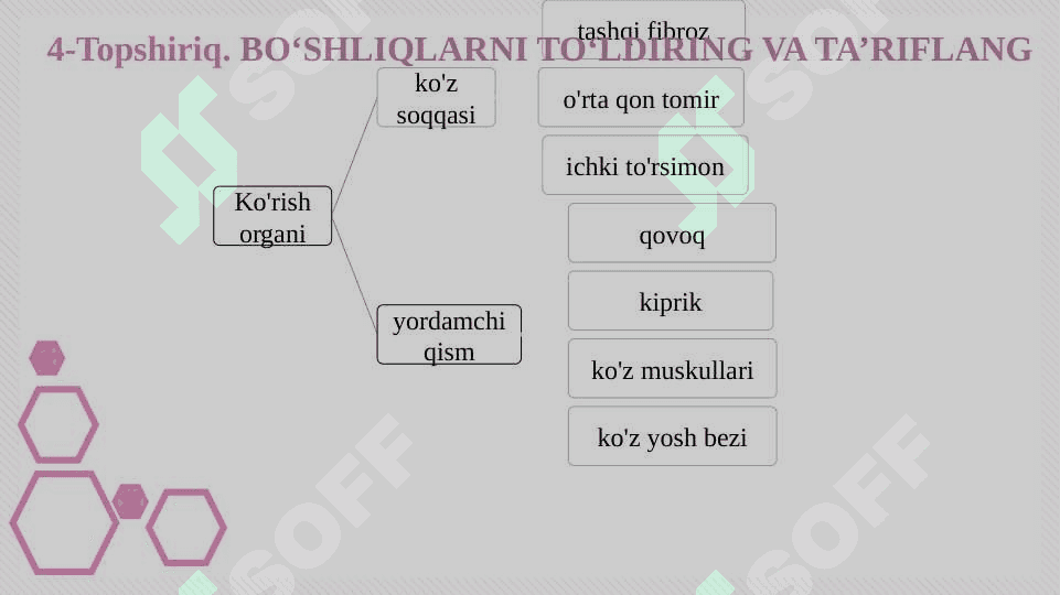 Eshitish organlarining tuzilishi, eshitish gigiyenasi 6