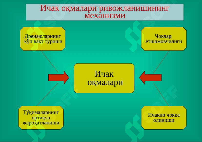 ICHAK OQMALARI 8