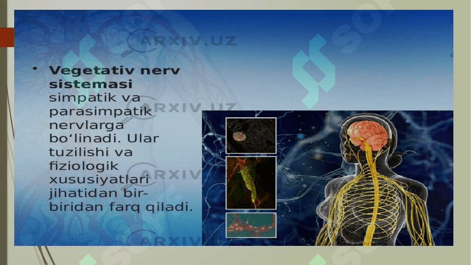 Xulq-atvorning psixofiziologik asosi 5