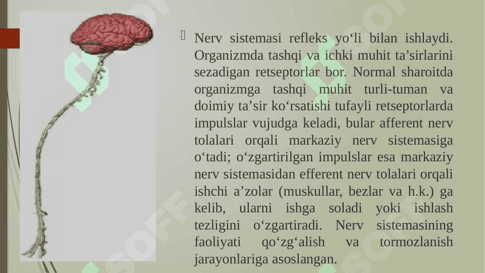 Xulq-atvorning psixofiziologik asosi 7