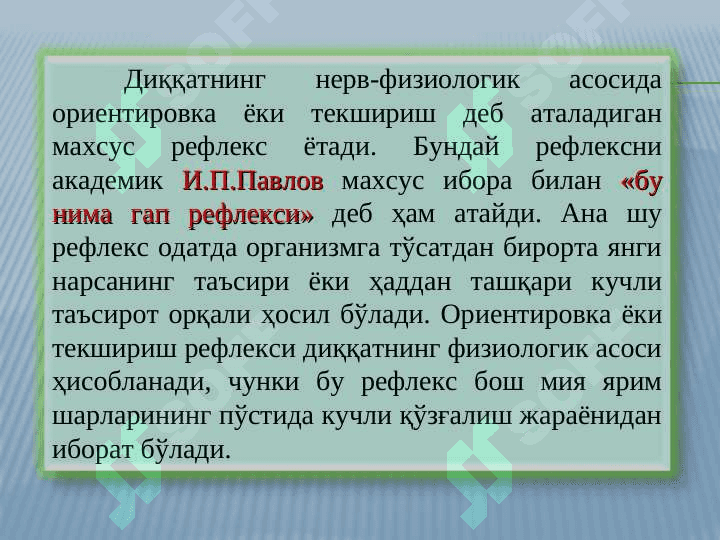 ДИҚҚАТ 6