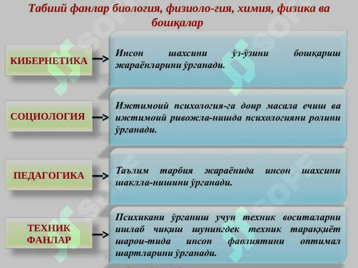 ҲОЗИРГИ ЗАМОН ПСИХОЛОГИЯСИНИНГ ТУЗИЛИШИ ВА ТАДҚИҚОТ МЕТОДЛАРИ 2