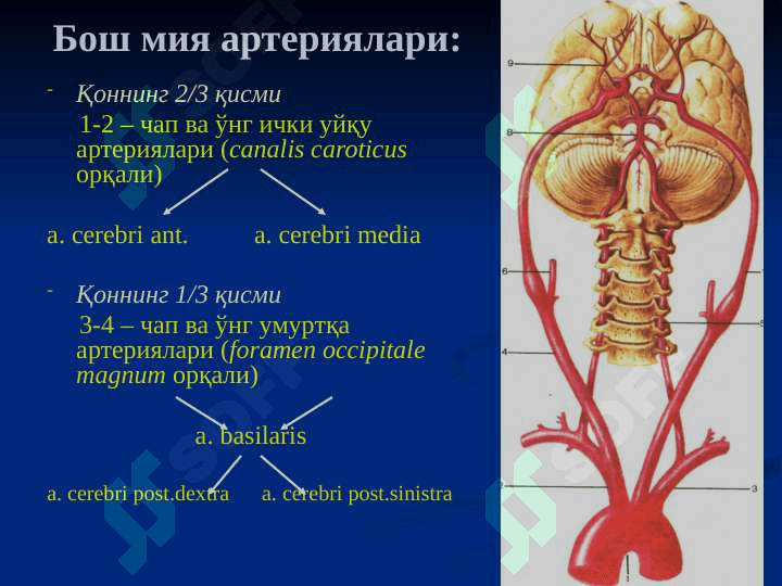 НЕЙРОХИРУРГИЯ 5