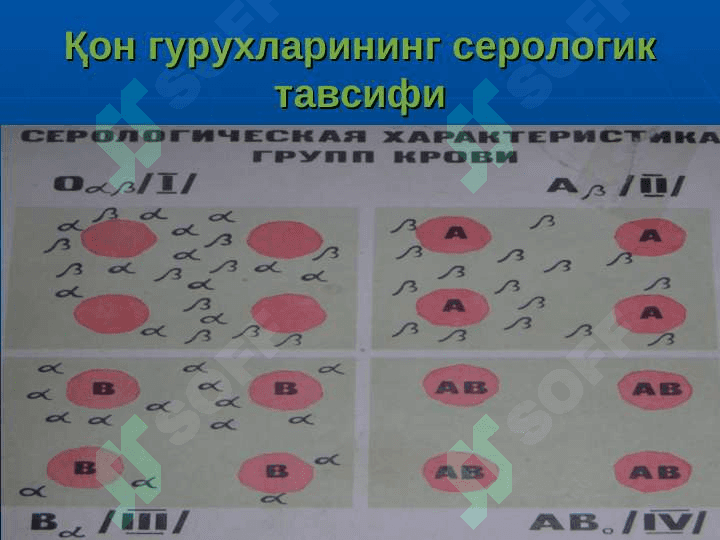 TRANSFUZIOLOGIYA Асослари Донор ва Қон тайёрлаш. 8