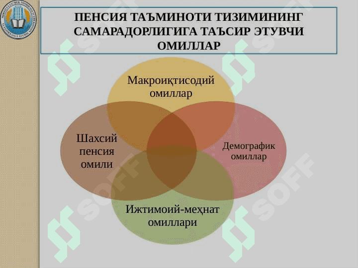 Demografik muammolar va Pensiya islohatlari 4