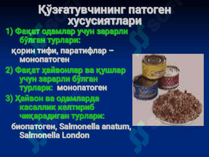 Salmonellyoz. ppt 3