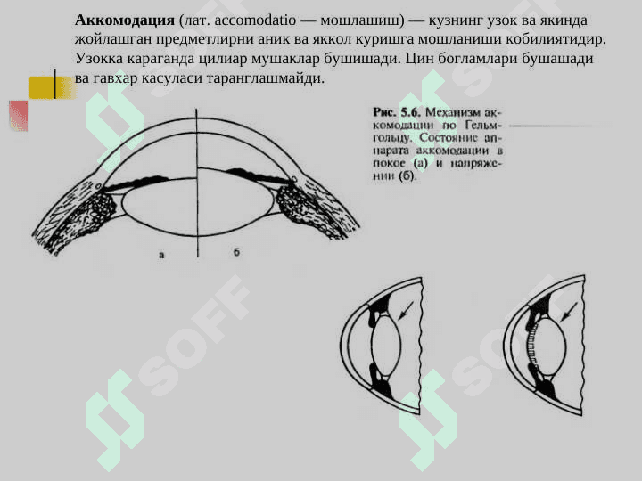 klinik refraksiya. ppt 4