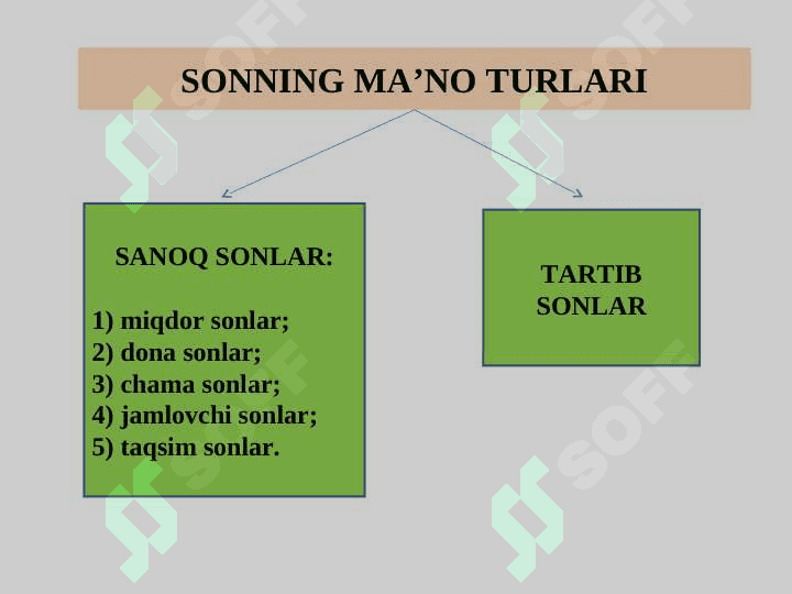 SON SO`Z TURKUMI 7