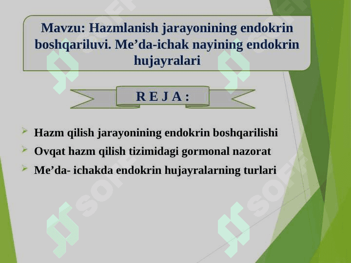 Hazmlanish jarayonining endokrin boshqariluvi. Me’da-ichak nayining endokrin hujayralari 2