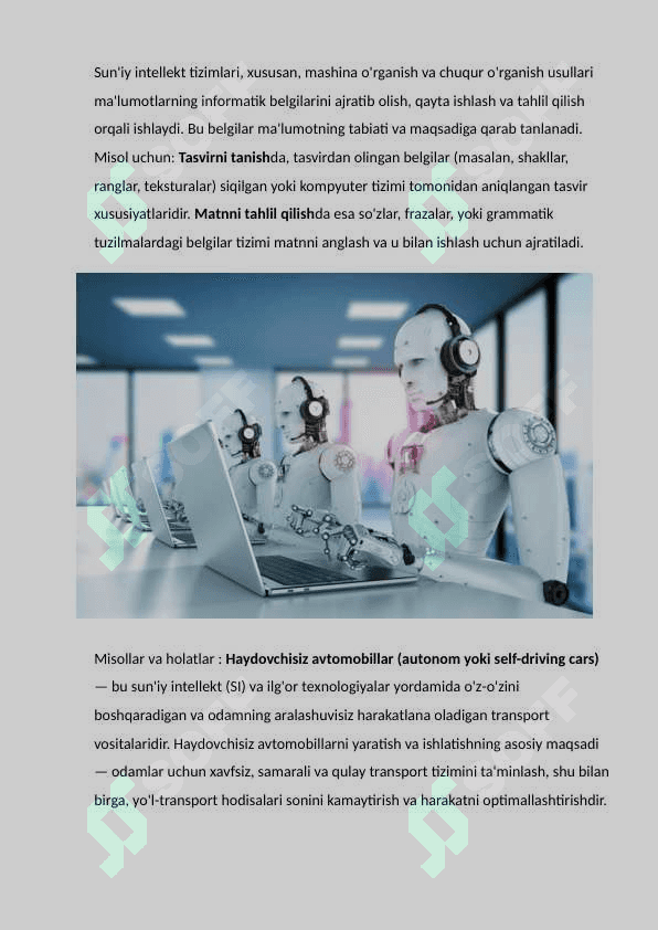 Suniy intellekt fanidan mustaqil ish 6