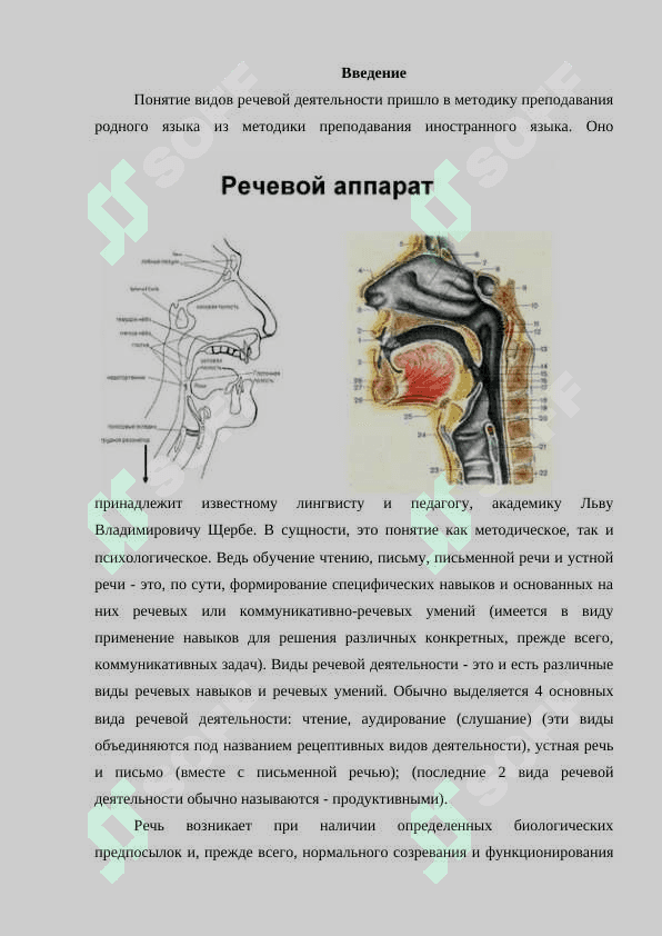 Речевой аппарат 2