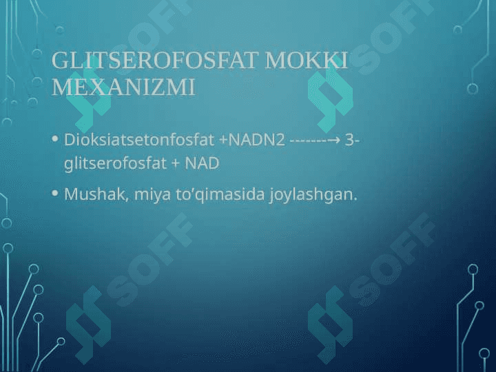 GLYUKOZА KАTАBOLIZMI VА GLYUKONEOGENEZ. PENTOZOFASFAT YO`LINING AHAMIYATI 8
