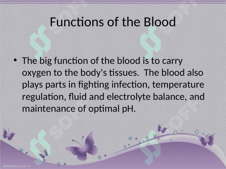 BLOOD (Qoon) 2