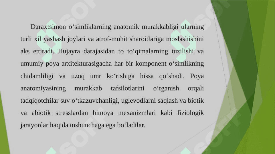 Daraxtlar poyasining anatomik tuzilishi 3