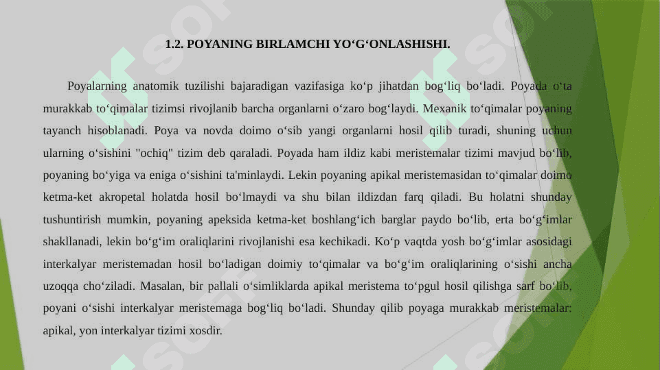 Daraxtlar poyasining anatomik tuzilishi 5