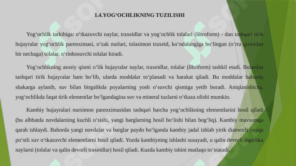 Daraxtlar poyasining anatomik tuzilishi 7