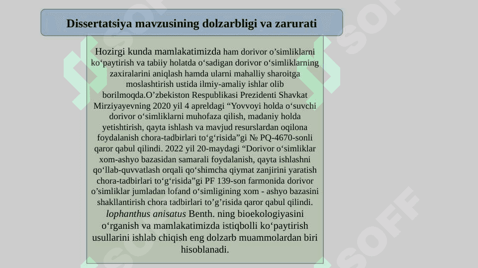 TERMIZ SHAHRI SHAROITIDA Lophanthus anisatus Benth. NING O`SISHI VA RIVOJLANISHI 2