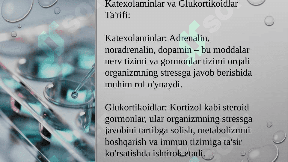 Katexolamin va glukortikoidlarning uglevod almashinuviga ta’siri 3