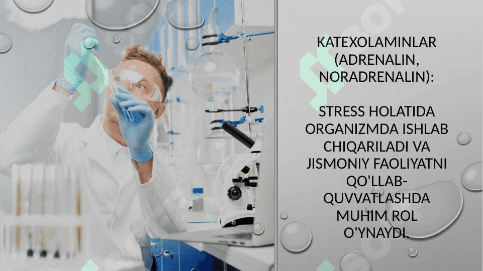Katexolamin va glukortikoidlarning uglevod almashinuviga ta’siri 4