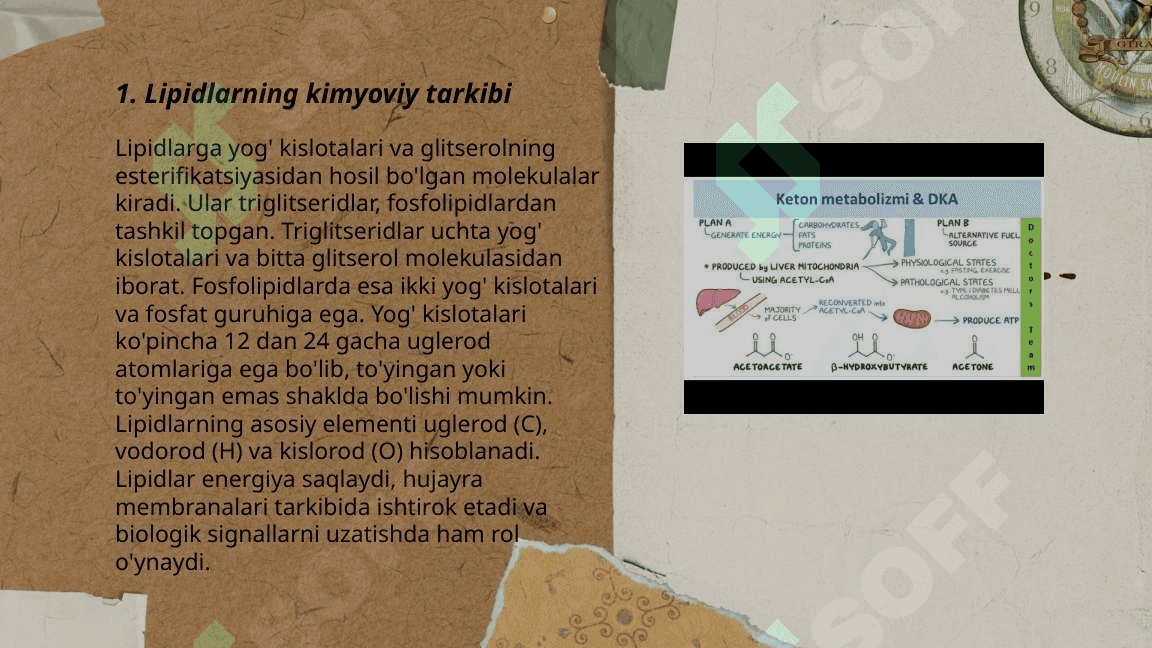 Lipidlar tuzilishi,funksiyasiga metabolizmi 3