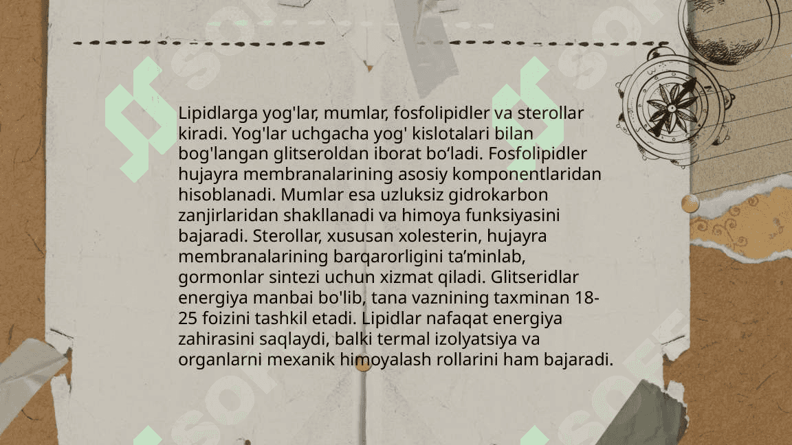 Lipidlar tuzilishi,funksiyasiga metabolizmi 4