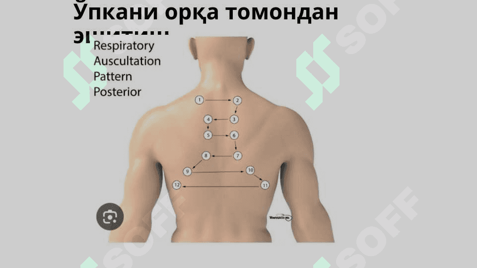 O‘pka Auskultatsiyasi 8