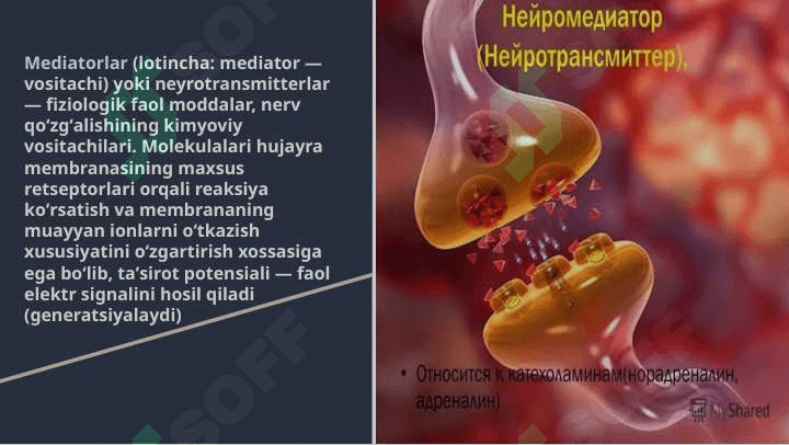 Neyromediatorlar biosintezi, ahamiyati va kasalliklari 3
