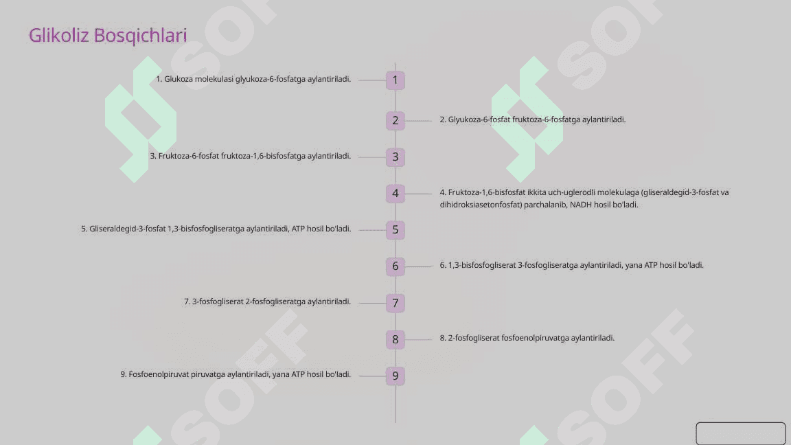 Jigarda Glikoliz va Glikoneogenezni Boshqarilishi 3