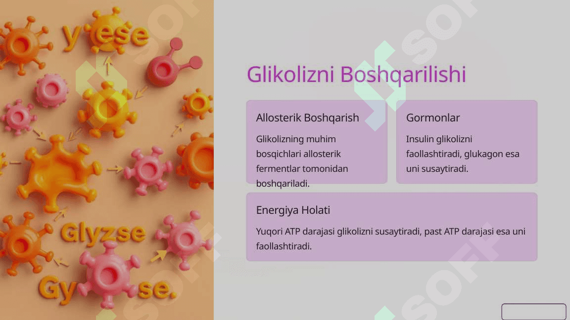 Jigarda Glikoliz va Glikoneogenezni Boshqarilishi 4