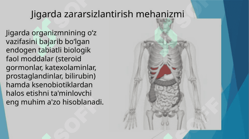 Jigarda gormonlarning zararsizlantirilishi, klinik ahamiyati 2