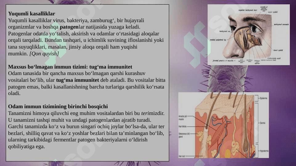 Immun tizimining shakllanishi va yoshga qarab o’zgarishi 6