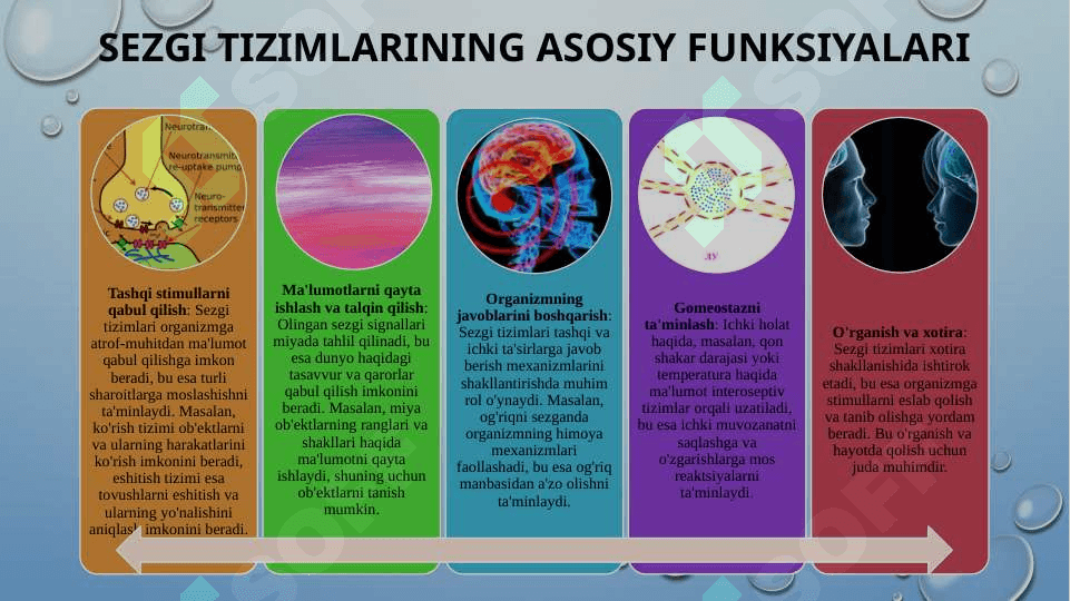 SENSOR TIZIMI FIZIOLOGIYASI 6