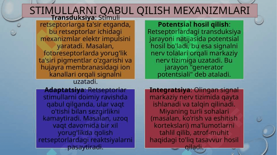 SENSOR TIZIMI FIZIOLOGIYASI 8