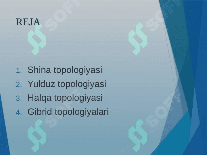 Tarmoqli topologiyalar Asosiy topologiyalar shina, yulduz, xalka 2