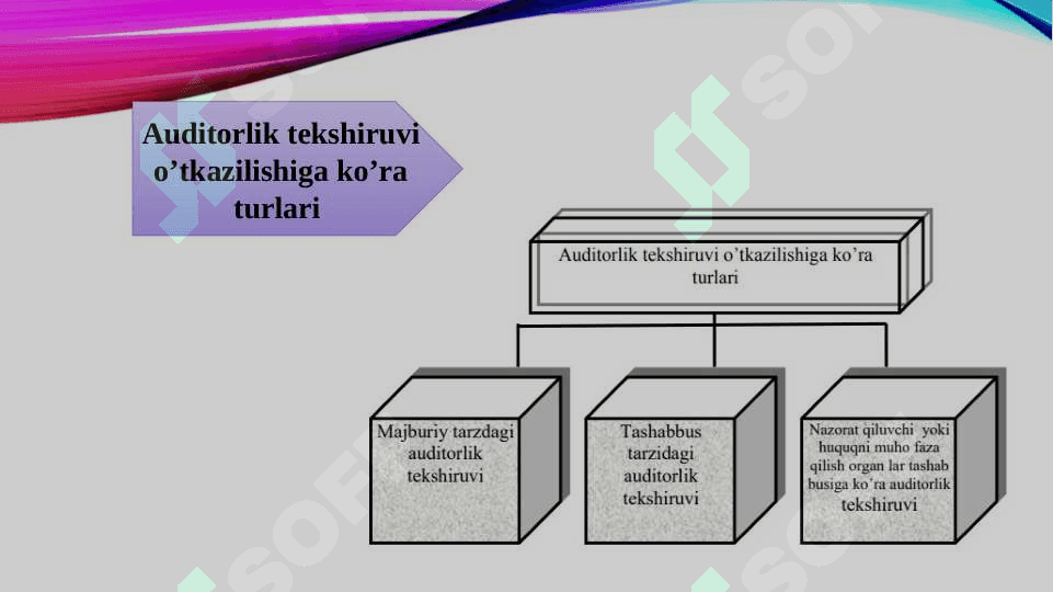 Auditorlik tekshiruvi turlari 2