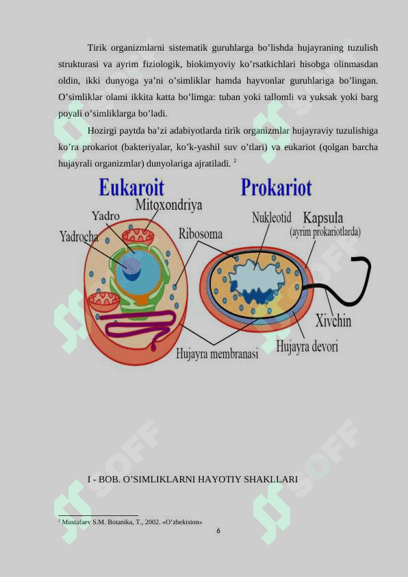 O’simliklarni hayotiy shakllari. 6