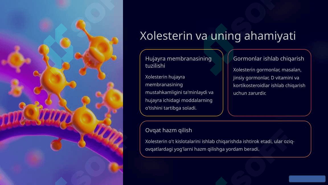 Xolesterin Tashilishida Qatnashuvchi Apo-oqsillar 2
