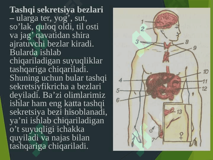 Ichki skretiya bezlari kasaliklari qandli diabet bilan ogʻrigan maktab oʻquvchilari bilan mashgʻulot tamoyillari 3