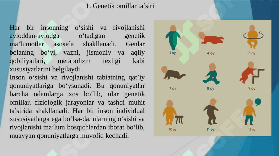 Inson o‘sishi va rivojlanishining umumiy qonuniyatlari 3