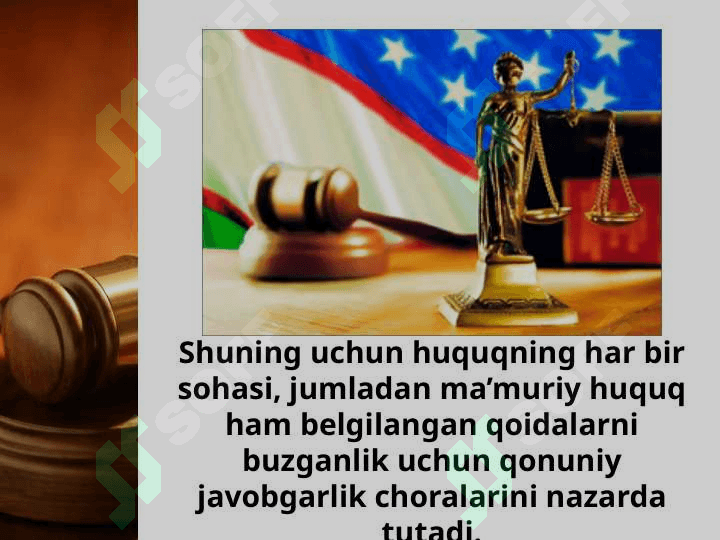 Ma'muriy huquqbuzarlik va ma'muriy javobgarlik 3