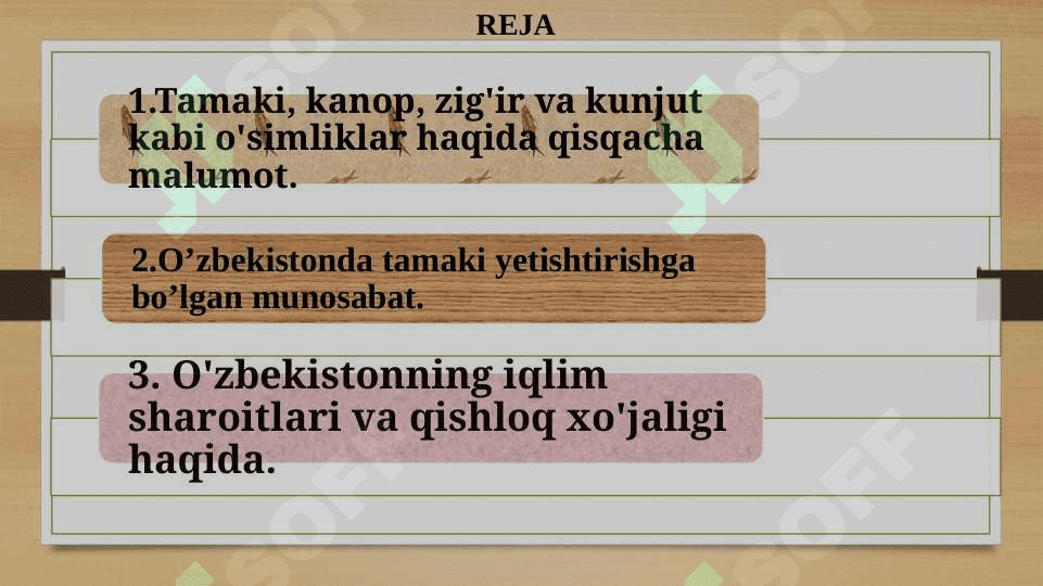 O’zbekistonda tamaki,kanop, zig’ir va kunjut yetishtirish xususiyatlari. 2